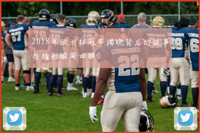 2018年欧洲杯冠军揭晓背后的故事与精彩瞬间回顾