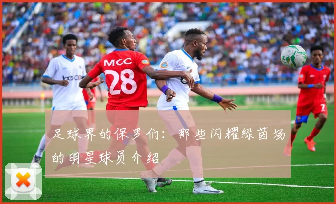 足球界的保罗们：那些闪耀绿茵场的明星球员介绍